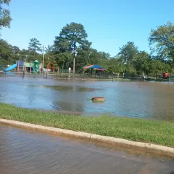 Sunset Park - Rocky Mount