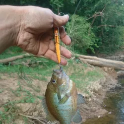 Deep River Park - Sanford