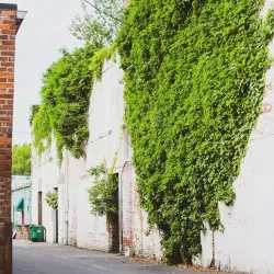 Downtown Shelby Historic District - Shelby