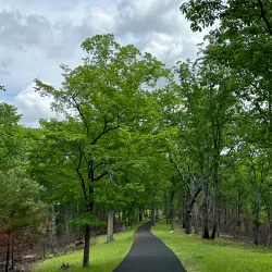 Kings Mountain National Military Park - Shelby