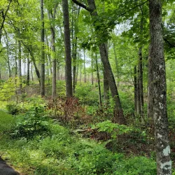 Kings Mountain National Military Park - Shelby