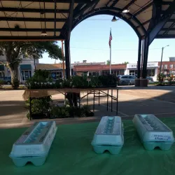 Shelby Farmers Market - Shelby