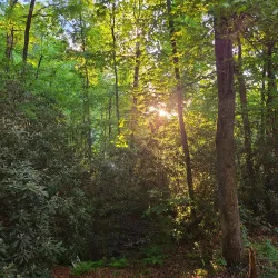 Sylva Downtown Historic District - Sylva