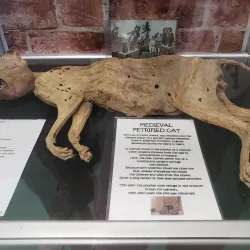 Sylva Old Jail Museum - Sylva