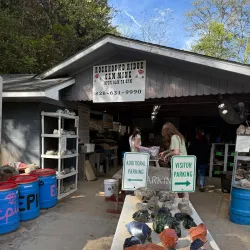 The Gem Mine - Sylva