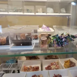 The Gem Mine - Sylva