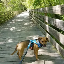 Aversboro Park - Wake Forest