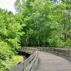 Aversboro Park - Wake Forest