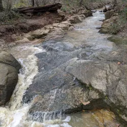 Aversboro Park - Wake Forest