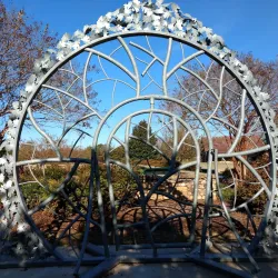 E. Carroll Joyner Park - Wake Forest