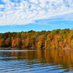 Falls Lake State Recreation Area - Wake Forest