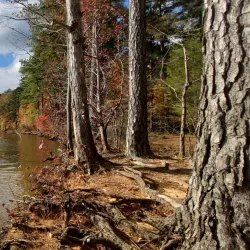 Falls Lake State Recreation Area - Wake Forest
