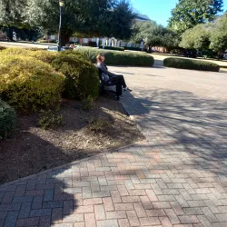 Historic Downtown Wake Forest - Wake Forest