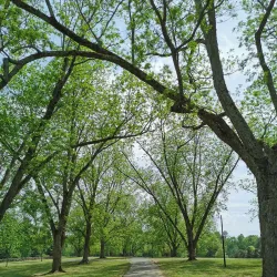 Joyner Park Community Center - Wake Forest