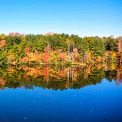 Wake Forest Reservoir - Wake Forest