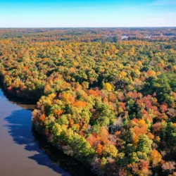 Wake Forest Reservoir - Wake Forest