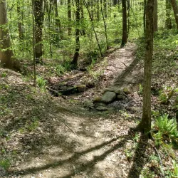 Wake Forest Reservoir - Wake Forest