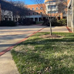 Wake Forest University Historic Campus - Wake Forest
