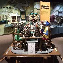 North Carolina Estuarium - Washington