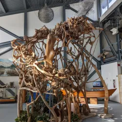 North Carolina Estuarium - Washington