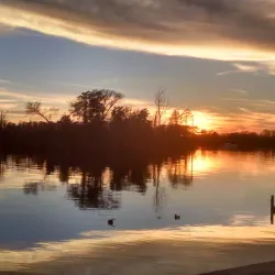 North Carolina Estuarium - Washington