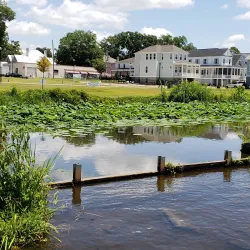 North Carolina Estuarium - Washington