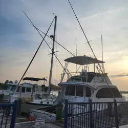 Waterfront Park - Washington