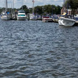 Waterfront Park - Washington