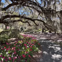 Airlie Gardens - Wilmington