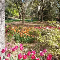 Airlie Gardens - Wilmington