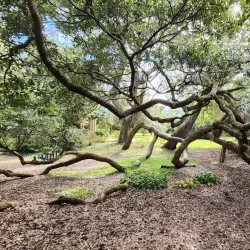 Airlie Gardens - Wilmington