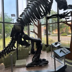 Cape Fear Museum - Wilmington