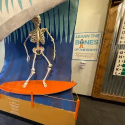 Children's Museum of Wilmington - Wilmington