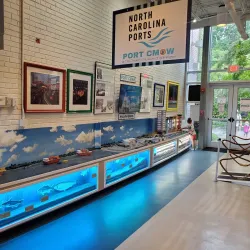 Children's Museum of Wilmington - Wilmington