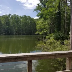 Greenfield Lake Park and Gardens - Wilmington