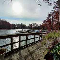 Greenfield Lake Park and Gardens - Wilmington