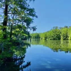Greenfield Lake Park and Gardens - Wilmington