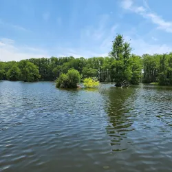 Greenfield Lake Park and Gardens - Wilmington