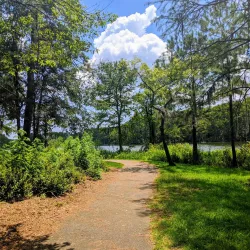 Greenfield Lake Park and Gardens - Wilmington