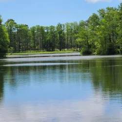 Greenfield Lake Park and Gardens - Wilmington