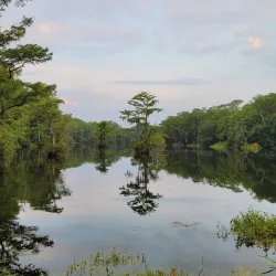 Greenfield Lake Park and Gardens - Wilmington