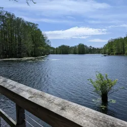 Greenfield Lake Park and Gardens - Wilmington