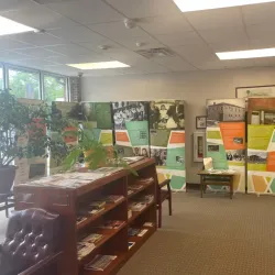 Caswell County Public Library - Yanceyville