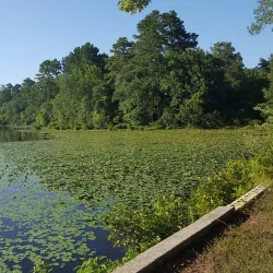 Lake Myra Park - Zebulon