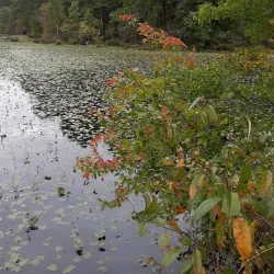 Lake Myra Park - Zebulon