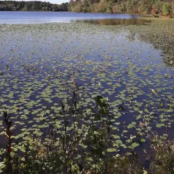 Lake Myra Park - Zebulon