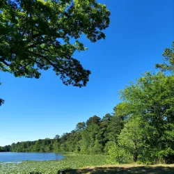 Lake Myra Park - Zebulon