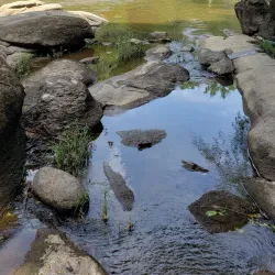 Neuse River Trail - Zebulon