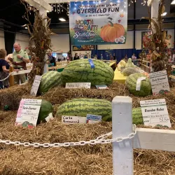 Raleigh Flea Market at the NC State Fairgrounds - Zebulon