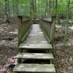 William B. Umstead State Park - Zebulon